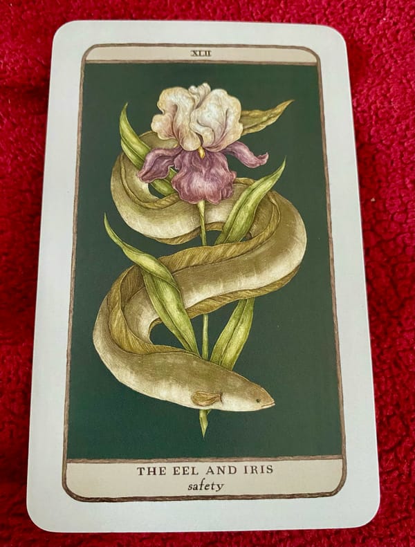 The Eel, the Iris and the no good, very unwelcome Unicorn who is incapable of reading the room.